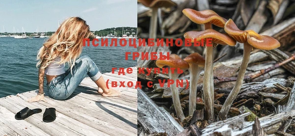 крисы Магас