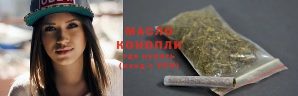 крисы Магас