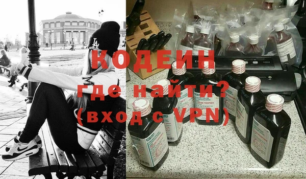 крисы Магас