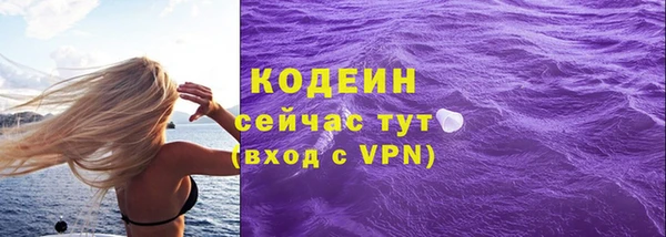 индика Медногорск