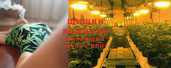 индика Медногорск