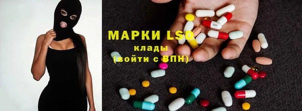 крисы Магас