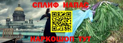 МДПВ Дубна