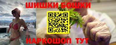 МДПВ Дубна