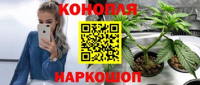 МДПВ Дубна