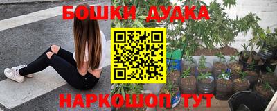 МДПВ Дубна