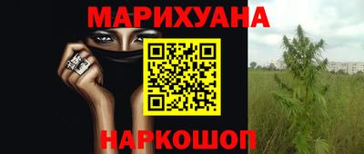 МДПВ Дубна
