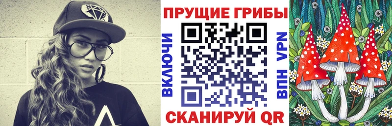 Псилоцибиновые грибы мицелий  ссылка на мегу вход  Новоалтайск  где купить наркоту 