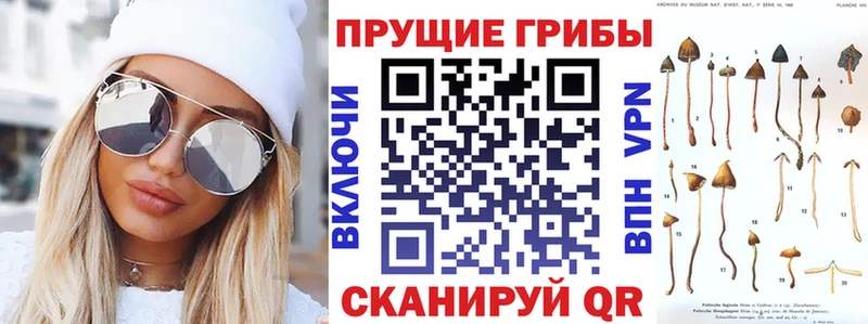 Галлюциногенные грибы прущие грибы Новоалтайск