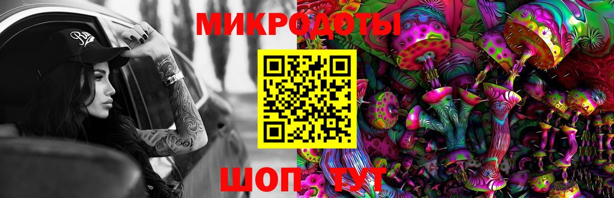 как найти закладки  Галлюциногенные грибы Psilocybine cubensis  Вход с VPN  Новоалтайск  Псилоцибиновые грибы Psilocybe 